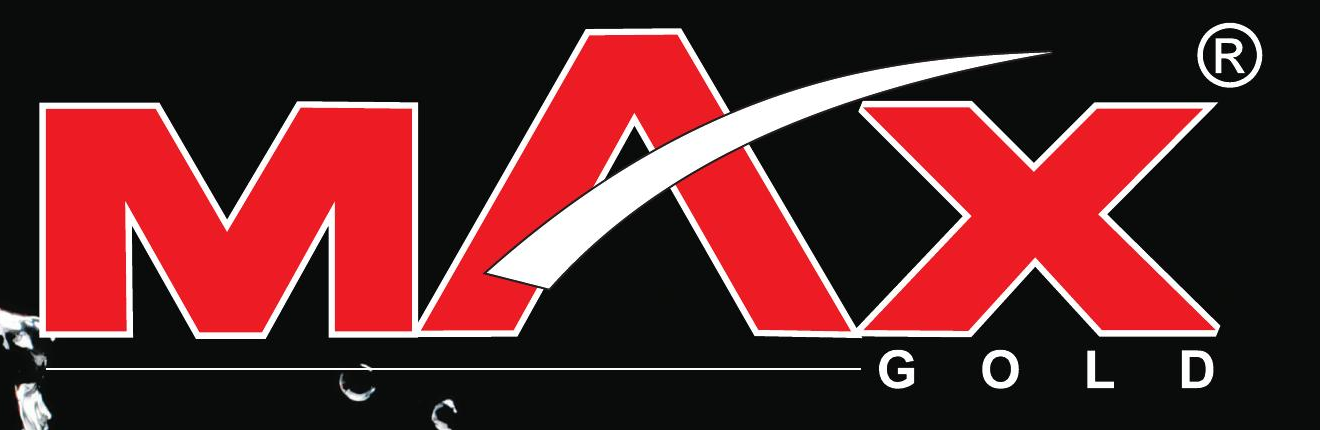 MAX GOLD logo